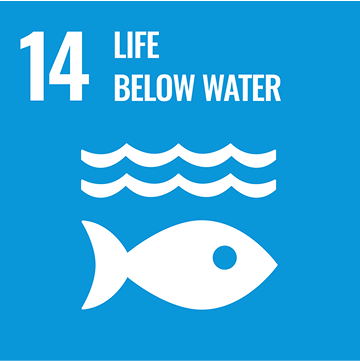 Icon for SDG 14, Life Below Water